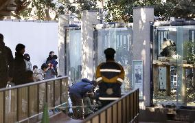 Ueno Zoo starts preparing for pandas' mating