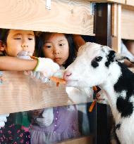 Farm opens on 13th floor of Tokyo high-rise