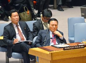 U.N. Security Council meeting