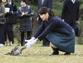 Princess Mako at Imperial Wild Duck Preserve