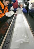 World's oldest ice shown to media