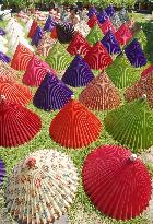 Japanese umbrellas dried in sun