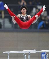 Gymnastics: Japan all-round title