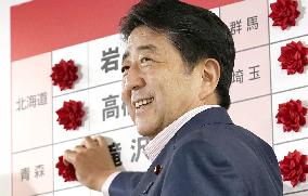 Japan upper house election