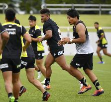 Rugby: Japan national team training