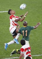 Rugby World Cup in Japan: Japan v South Africa