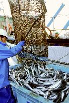 Saury fishermen halt work in appeal for government fuel cost aid