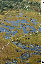 Autumn colors in abundance at Oze marshland