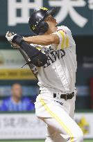 Baseball: Yanagita, Matsuda provide power as Hawks sweep BayStars