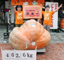 2 men from Chiba Pref. win giant pumpkin competition