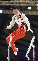 Gymnastics: Kohei Uchimura at world championships