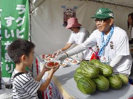 Rugby World Cup in Japan: Rugby ball-shaped watermelons