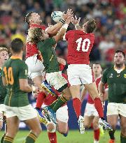 Rugby World Cup in Japan: Wales v South Africa