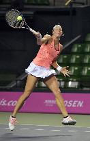 Tennis: 2015 champion Wickmayer makes early exit in Tokyo