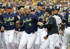 Baseball: Bench-clearing scuffle in Tigers-Swallows game