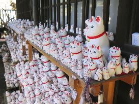 Beckoning cats at temple in Tokyo