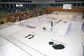 Arena for Ark League skateboarding competition