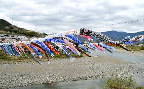 About 100 carp streamers fly over river in Wakayama Pref.