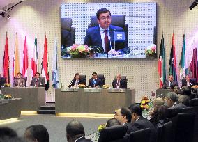 OPEC ministers meet in Vienna