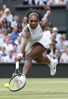 S. Williams defeats Kerber to win seventh Wimbledon title