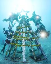 Divers enjoy Christmas in waters