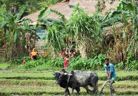 U.N. rights envoy expresses disappointment on Myanmar visit