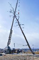 Farewell to pine in Fukushima, symbol of reconstruction