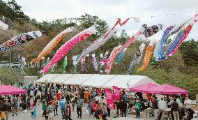 Carp streamers fly in Iwate