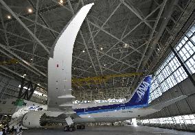 Boeing 787 at Haneda
