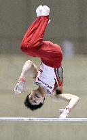 Uchimura wins 9th title at national gymnastics championships