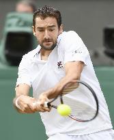 Cilic vs. Querrey in Wimbledon semi