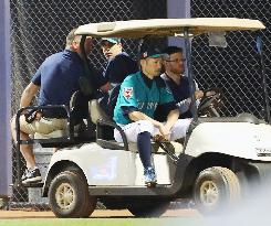 Mariners' Suzuki