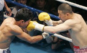 Kobori TKOs Alfaro in 3rd for WBA lightweight title