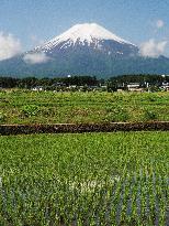 Mt. Fuji covered with snow in mid-June