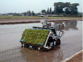 GPS-assisted rice-planting robot unveiled