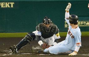 Baseball: Japanese home rule collides with players, managers