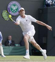 Sam Querrey knocks Novak Djokovic out of Wimbledon tennis