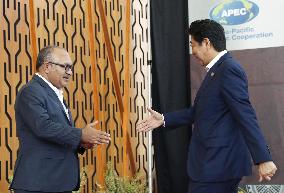 APEC summit in Papua New Guinea