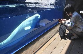 Joetsu Aquarium, Umigatari