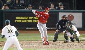 Baseball: Angels v Athletics