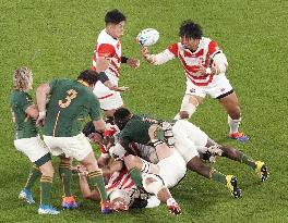 Rugby World Cup in Japan: Japan v South Africa