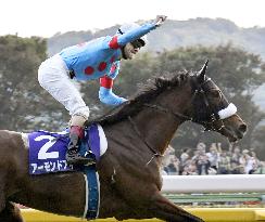 Horse racing: Almond Eye wins Tenno-sho