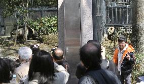 Pandas at Ueno Zoo