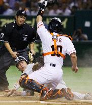 Hanshin's Arai out at home