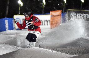 Freestyle skiing World Cup