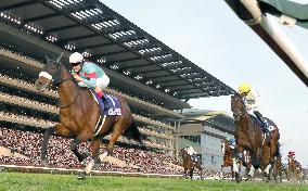 Horse racing: Almond Eye wins Japan Cup