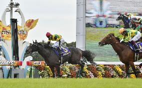 Horse racing: Take, World Premiere walk Kikka-sho red carpet