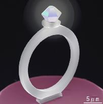 Japanese firm makes world's smallest diamond ring