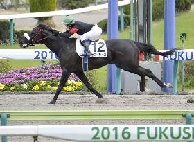 Female jockey Fujita wins 1st national race