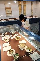 Kyoto's Shokado museum showcases nature, tea ceremony, art
